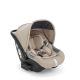 Darwin Infant para Electa, Aptica y Aptica XT de Inglesina