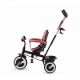 Triciclo Aston de Kinderkraft