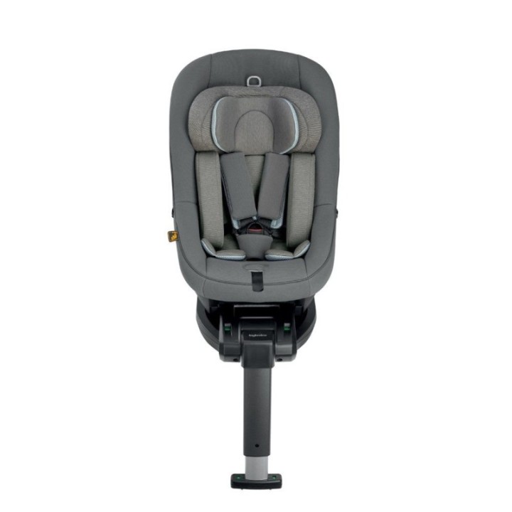 Darwin Next Stage i-Size de Inglesina