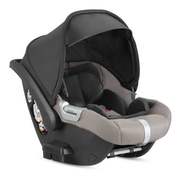 Darwin Infant 2026 para Electa
