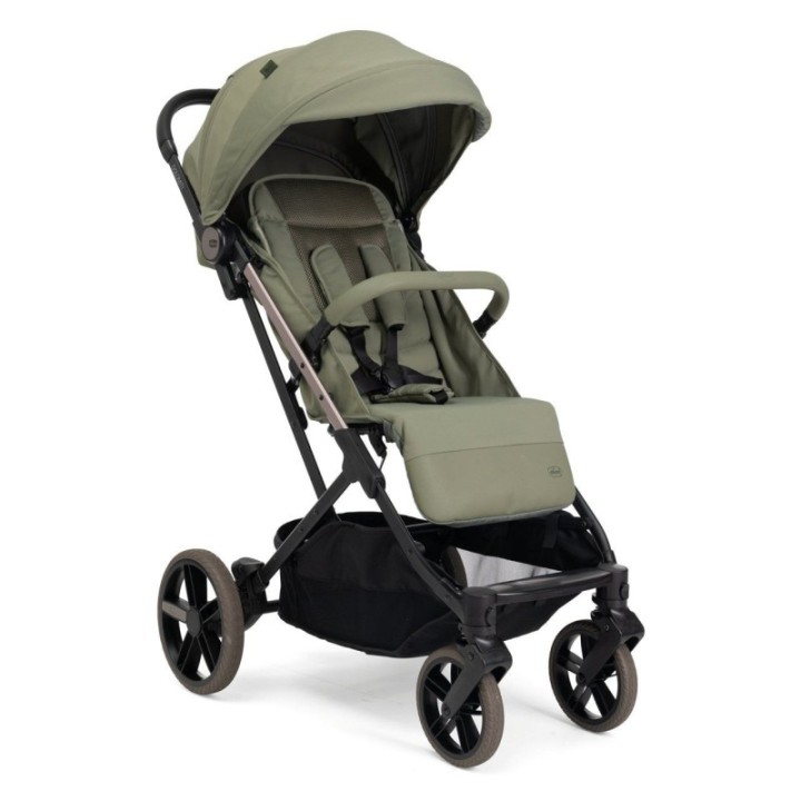 Silla de paseo Dolomiti de Chicco
